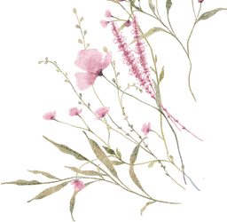 Hoa trang trí thiệp mời