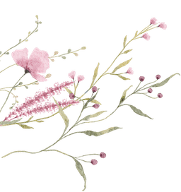 Hoa trang trí thiệp mời