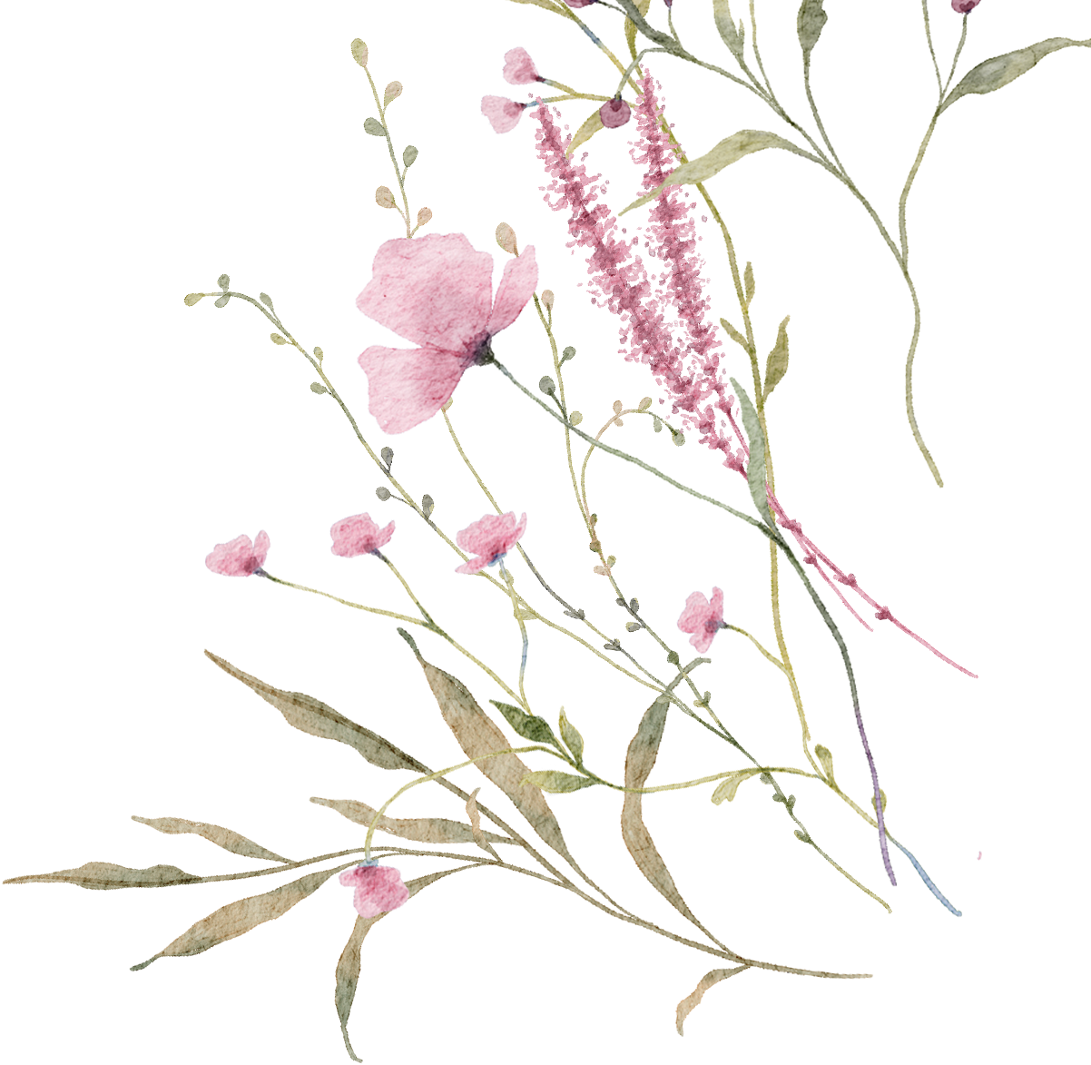 Hoa trang trí thiệp mời